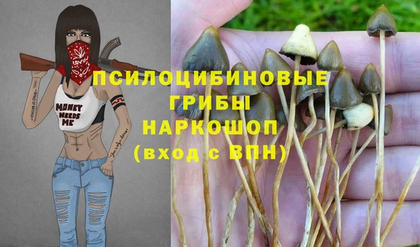 эйфоретик Протвино