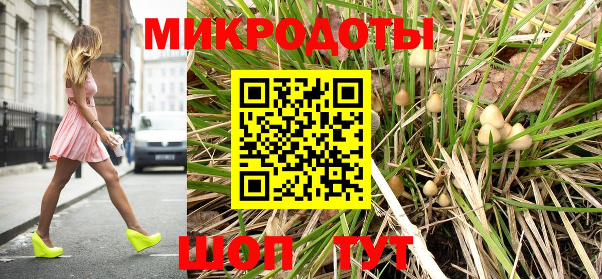 Галлюциногенные грибы GOLDEN TEACHER  Вход с VPN  Галлюциногенные грибы Cubensis  Новосибирск 