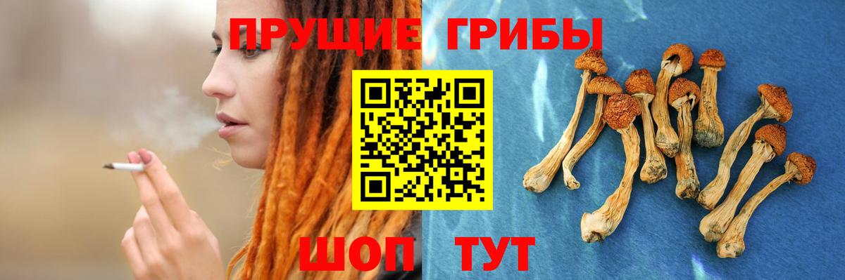 Галлюциногенные грибы мицелий Новосибирск